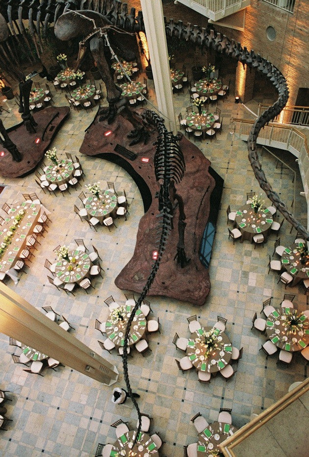 Have You Considered A Museum Wedding?