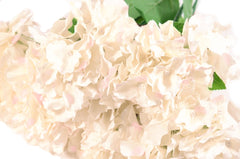6 Head Hydrangea Bush Champagne